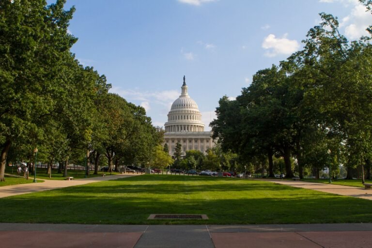 United States Capitol dome framed by trees